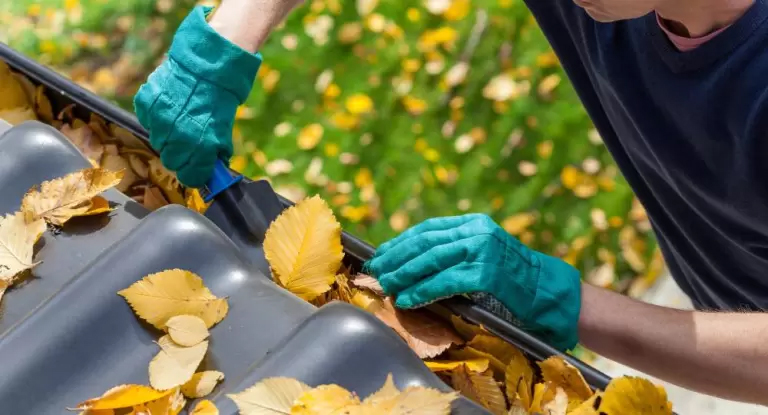 Get ready for autumn with these 5 essential garden jobs