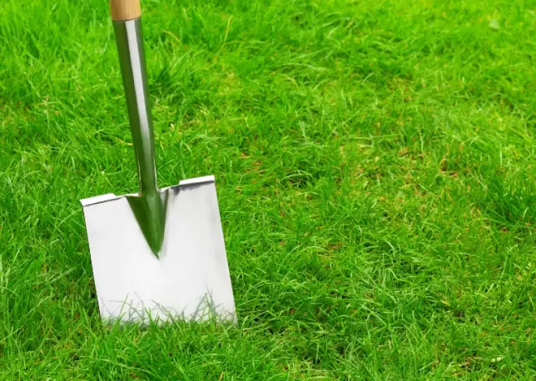 Make easy work of the garden this summer with our top five essential tools and time-savers