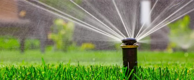 Keeping your garden green in drought conditions